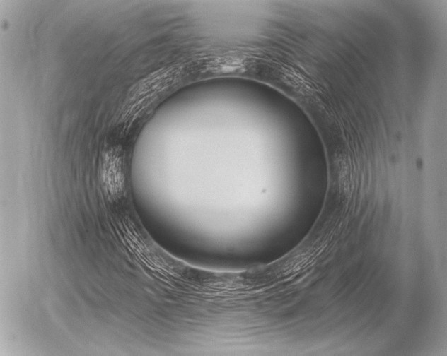 X0000056351442200508261259