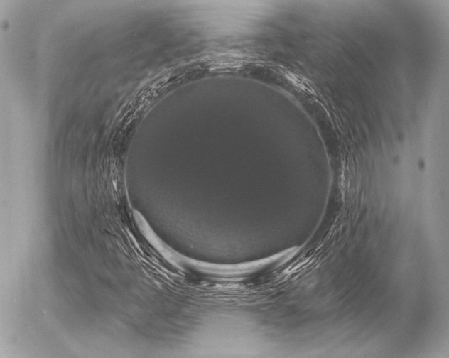 X0000056351445200508261259