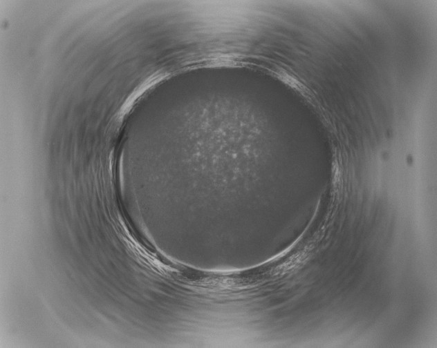 X0000056351450200508261259