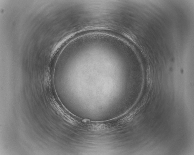X0000056351452200508261259