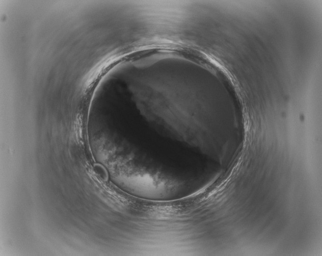 X0000056351455200508261259