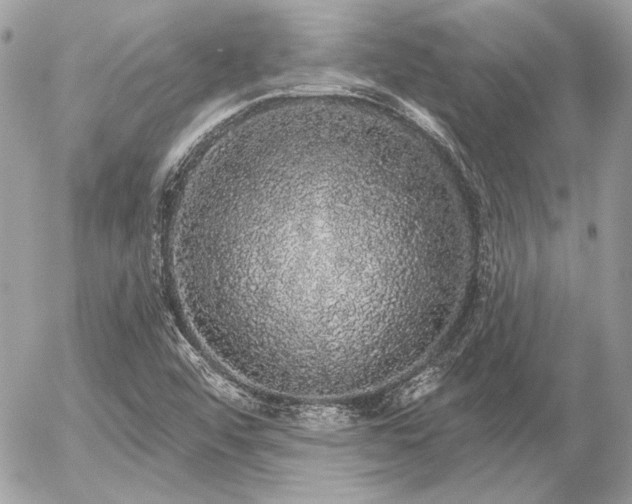 X0000056351456200508261259