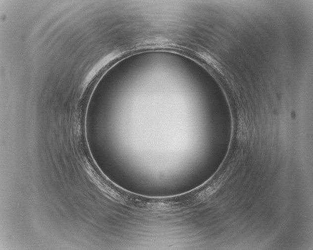 X0000056351458200508261259