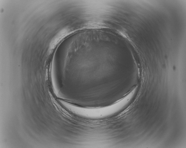 X0000056351459200508261259