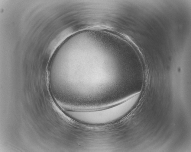 X0000056351476200508261259