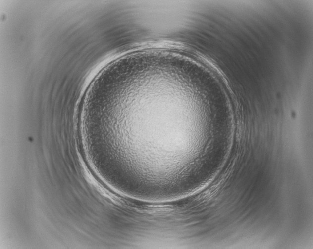 X0000056351483200508261259