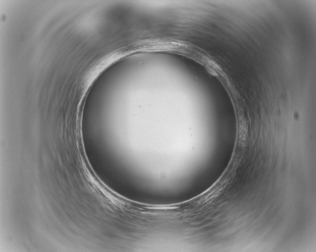X0000056351487200508261259