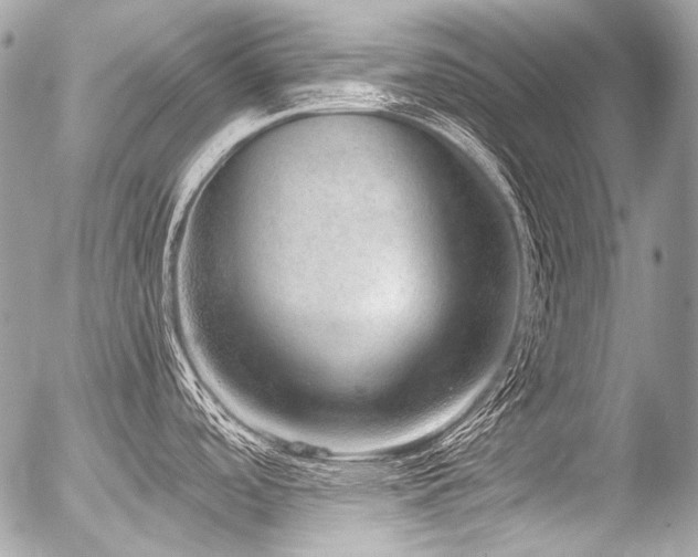 X0000056351488200508261259