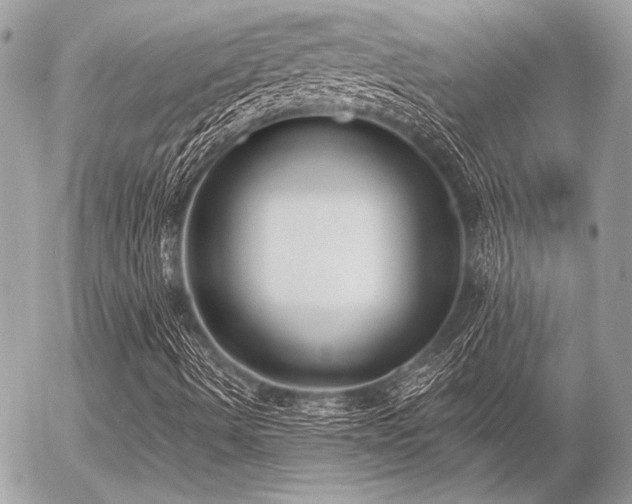 X0000056351490200508261258