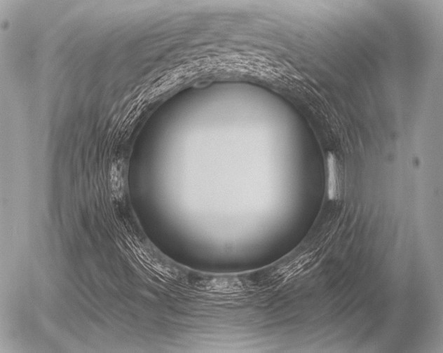 X0000056351491200508261258