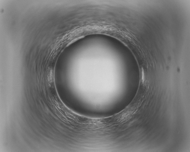 X0000056351492200508261258