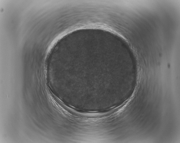 X0000056351506200508261258