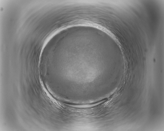 X0000056351536200508261259