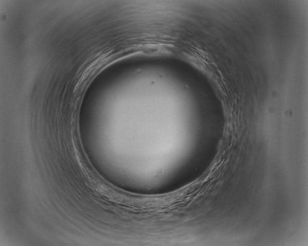 X0000056350001200508291334