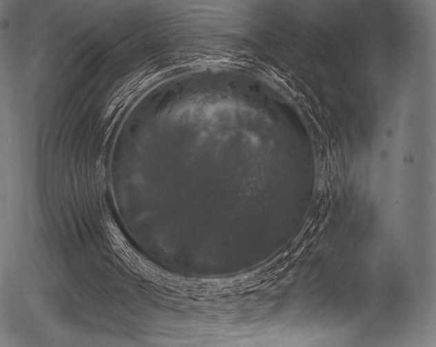 X0000056350002200508291334