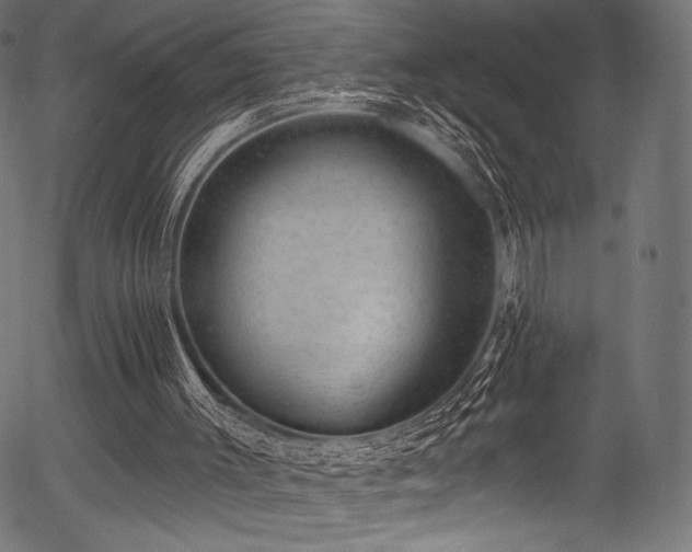 X0000056350003200508291334