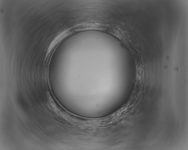 X0000056350004200508291334