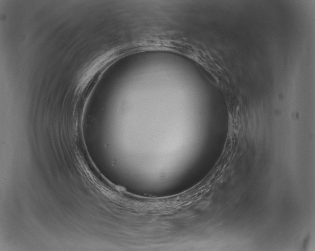 X0000056350005200508291334