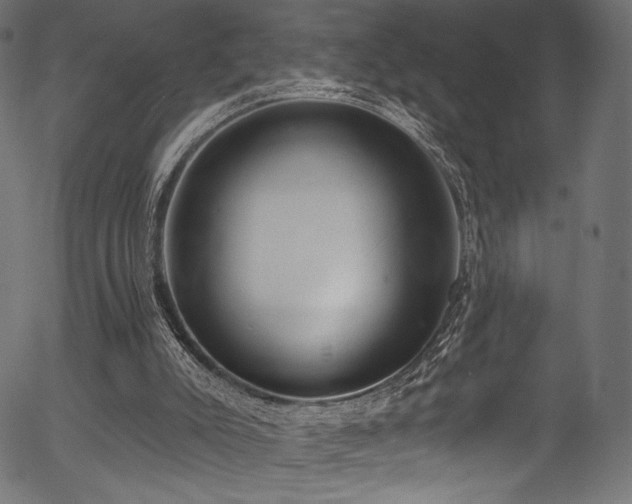 X0000056350007200508291334