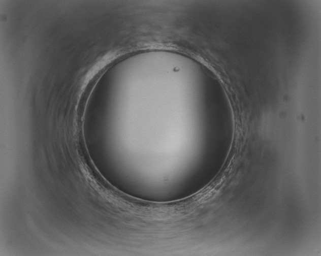 X0000056350008200508291334