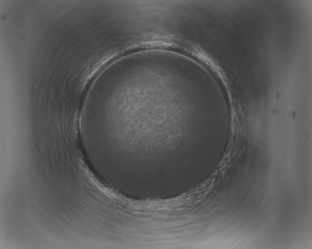 X0000056350009200508291334