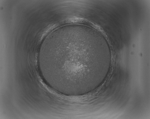 X0000056350010200508291334