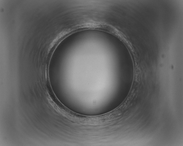 X0000056350011200508291334