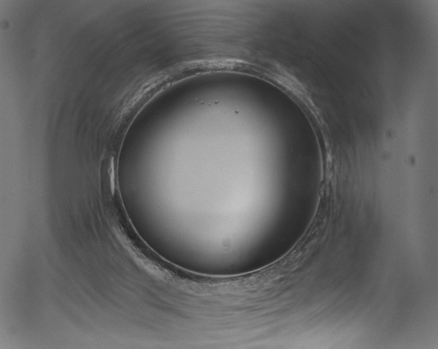 X0000056350013200508291334