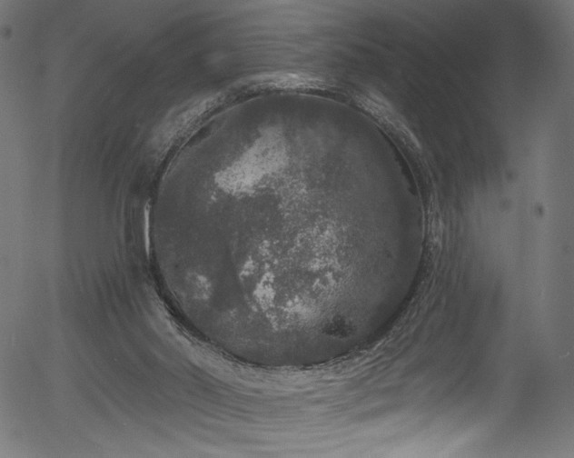 X0000056350014200508291334