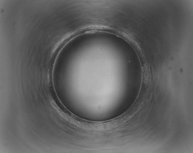 X0000056350015200508291334