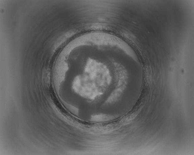 X0000056350016200508291334