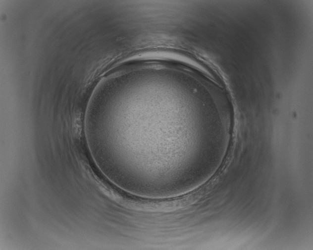 X0000056350017200508291334