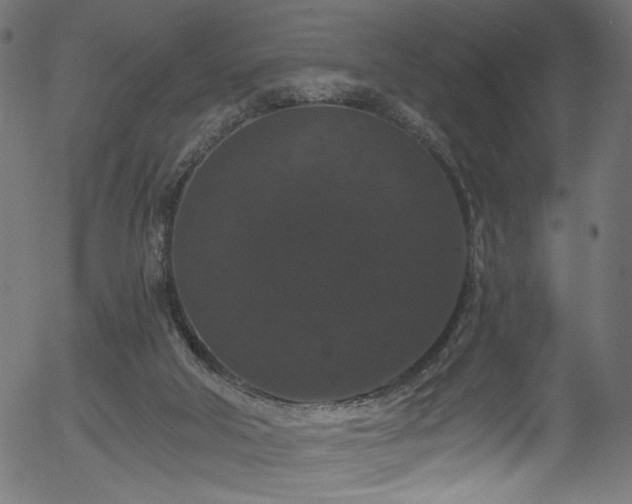 X0000056350018200508291334