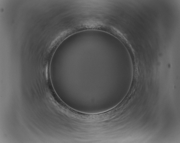 X0000056350019200508291334