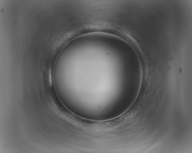 X0000056350020200508291334