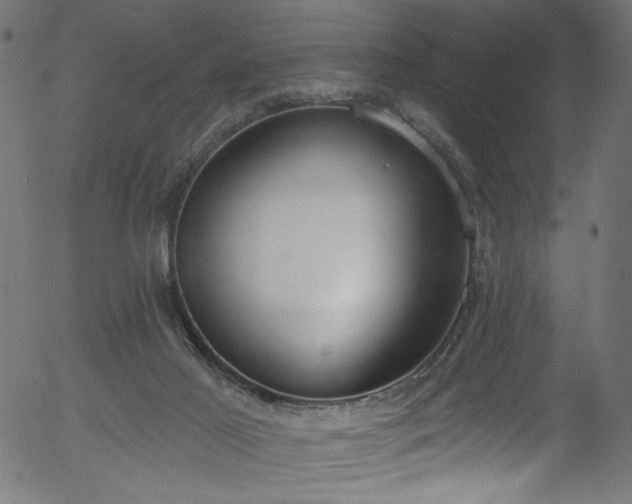 X0000056350021200508291334