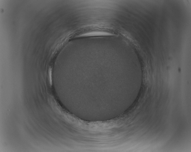 X0000056350022200508291334