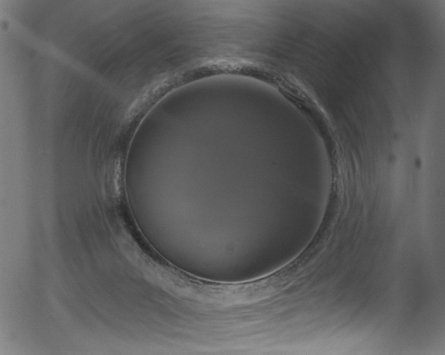 X0000056350023200508291334