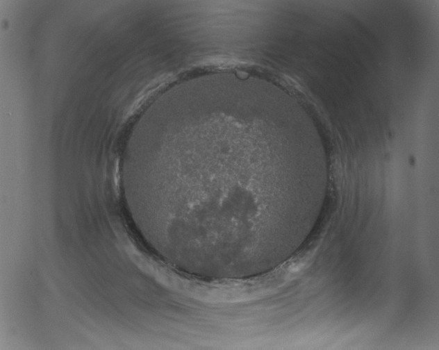 X0000056350024200508291334