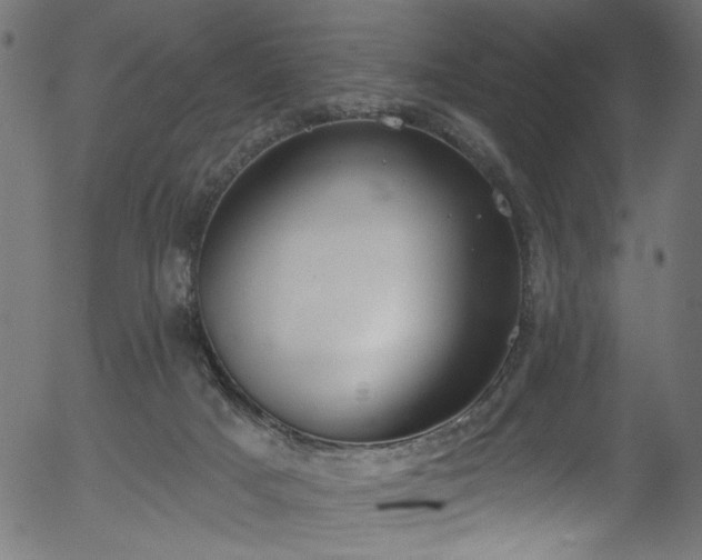 X0000056350025200508291334