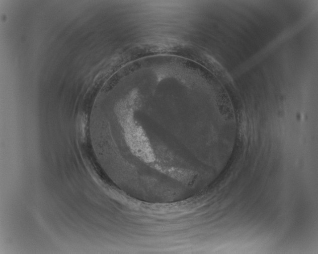 X0000056350026200508291334