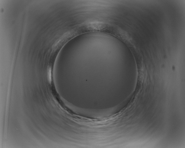 X0000056350027200508291334