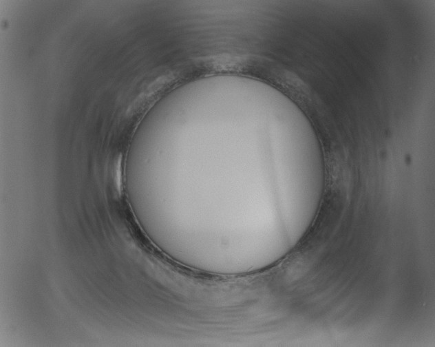 X0000056350028200508291334