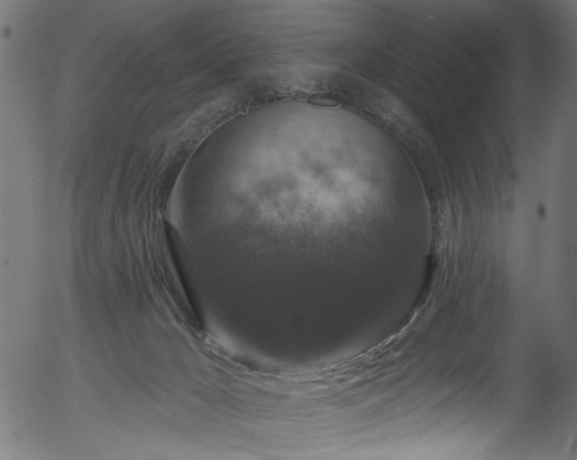 X0000056350029200508291334