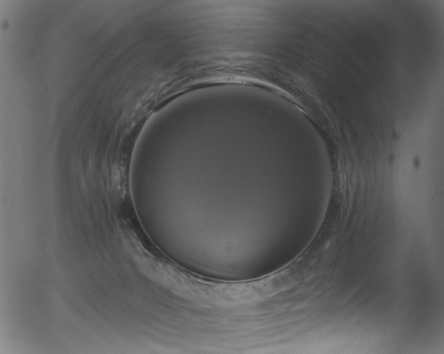 X0000056350031200508291334