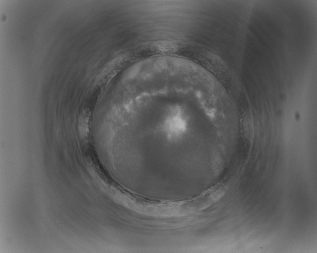 X0000056350032200508291334