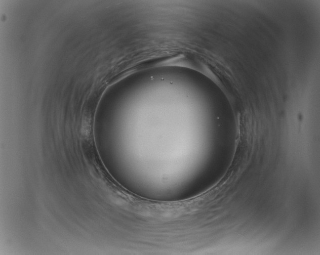 X0000056350033200508291334