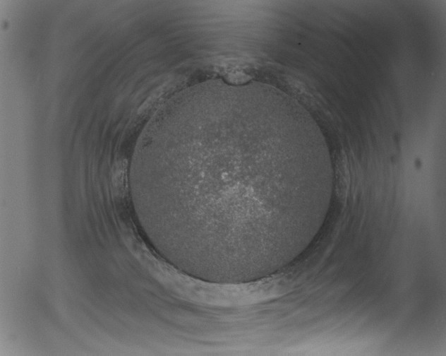 X0000056350034200508291333