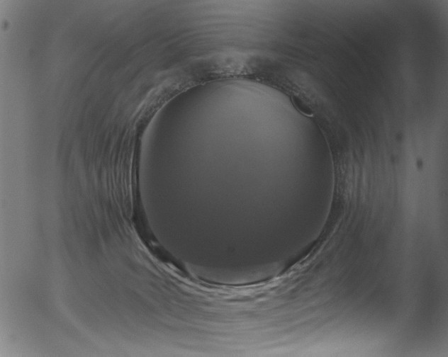 X0000056350035200508291333