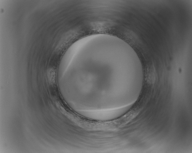 X0000056350036200508291333